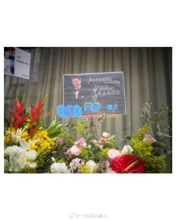 拳头官方摄影师一村回望2024：串联起的那些难忘瞬间和记忆