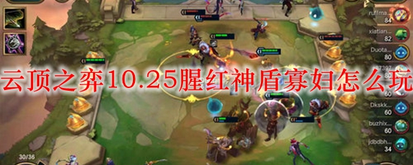 掌握云顶之弈10.25版本腥红神盾寡妇的全新玩法与细节策略，玩转策略与运气的结合之道
