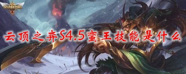 揭秘云顶之弈S4.5蛮王技能，助你在战场上称霸全场