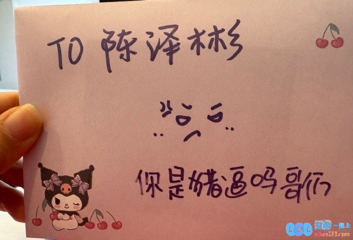 给Bin送“猪逼”应援牌粉丝声明：并非选手黑粉，自己手写信一向是这种风格，表达真挚支持与热爱