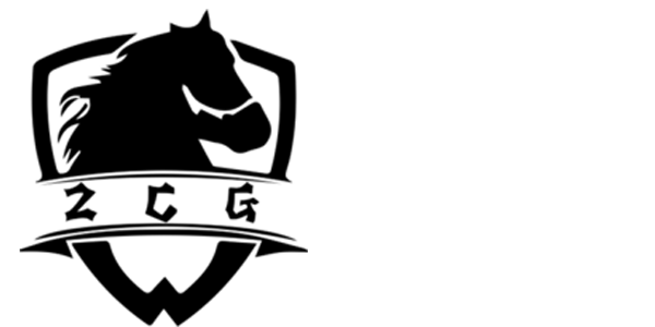 晋升赛队伍介绍：有小将，也有曾在联赛上碰面过的老对手