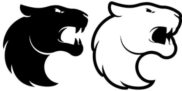 外媒曝料：artzin与FURIA达成口头协议，新赛季重返巴西队伍