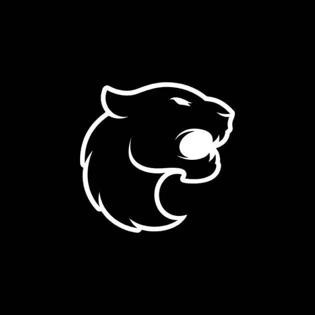 外媒曝料：artzin与FURIA达成口头协议，新赛季重返巴西队伍