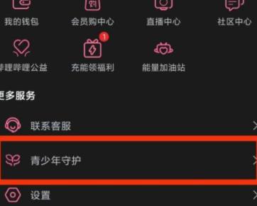 哔哩哔哩青少年守护在什么位置 哔哩哔哩找到青少年守护位置的方法