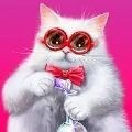可爱的猫咪珍藏手机版下载