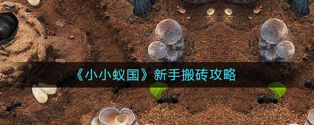 小小蚁国新手该怎么搬砖 小小蚁国新手搬砖攻略