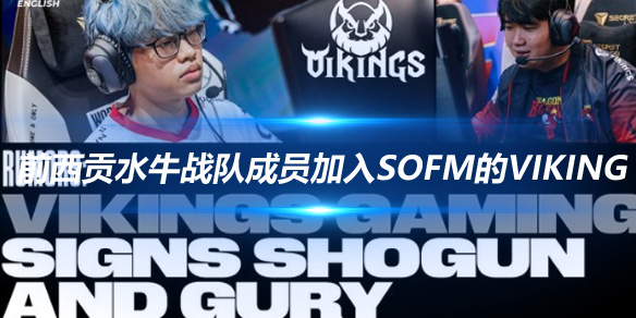 外媒揭秘 前西贡水牛战队成员加入Sofm的Viking Gaming_
英雄联盟专区
