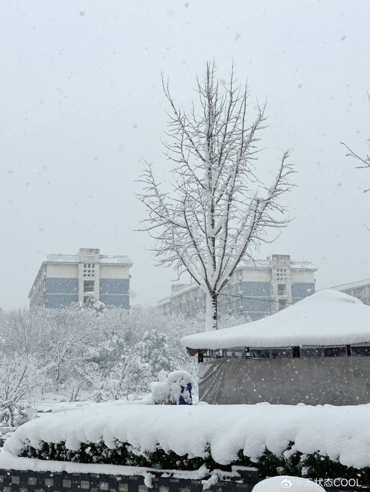 冲击波理论创始人、无状态COOL晒照：雪地探险家