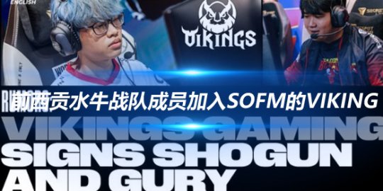 外媒揭秘 前西贡水牛战队成员加入Sofm的Viking Gaming_赛事直通车