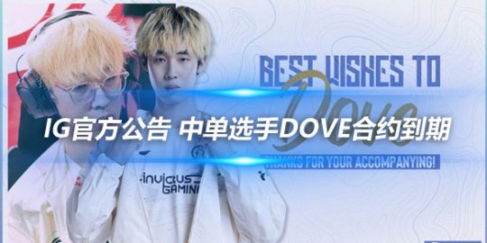 iG官方公告 中单选手Dove合约到期_赛事直通车