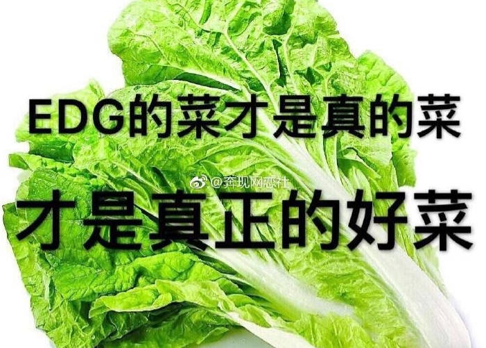 EDG粉丝热议不敌LNG：几位小天才能不能别打职业了！回清华上学吧