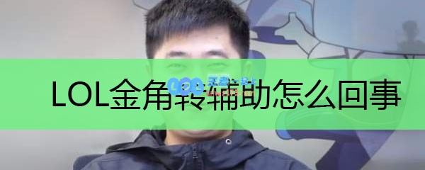 LOL金角转辅助怎么回事_LOL游戏攻略