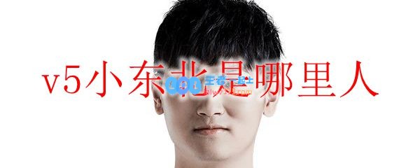 v5小东北是哪里人_LOL游戏攻略