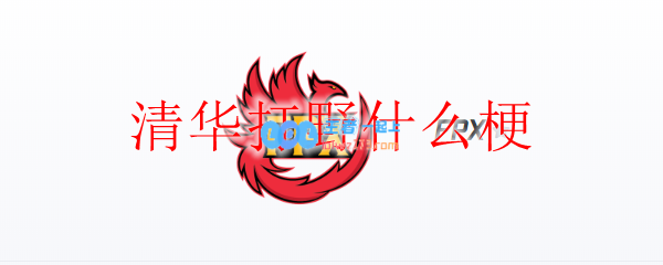 清华打野什么梗_LOL游戏攻略