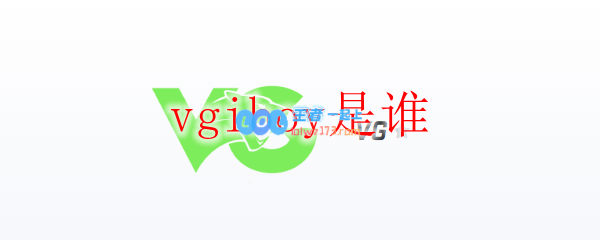 vgiboy是谁_LOL游戏攻略