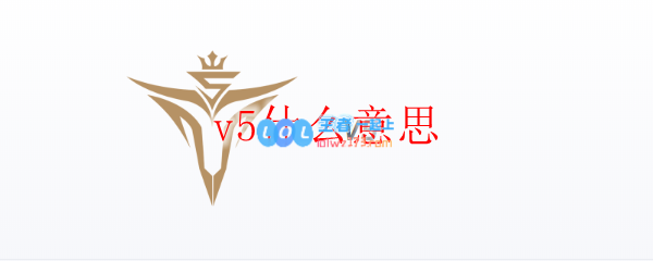 v5什么意思_LOL游戏攻略