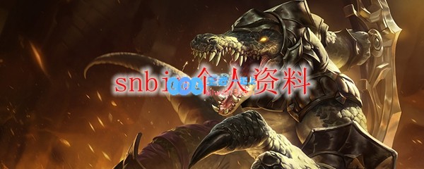 snbin个人资料_LOL游戏攻略