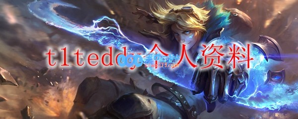 t1teddy个人资料_LOL游戏攻略