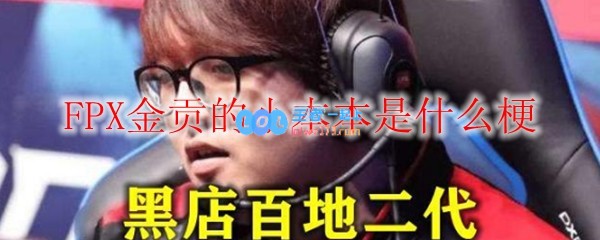 FPX金贡的小本本是什么意思_LOL游戏攻略