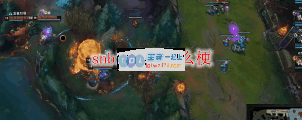 snbin地火什么梗_LOL游戏攻略