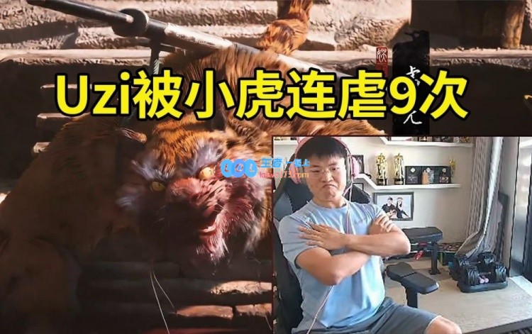 乌兹九命通关虎先锋，最后丝血一棒槌极限反杀：小虎真有点猛的啊