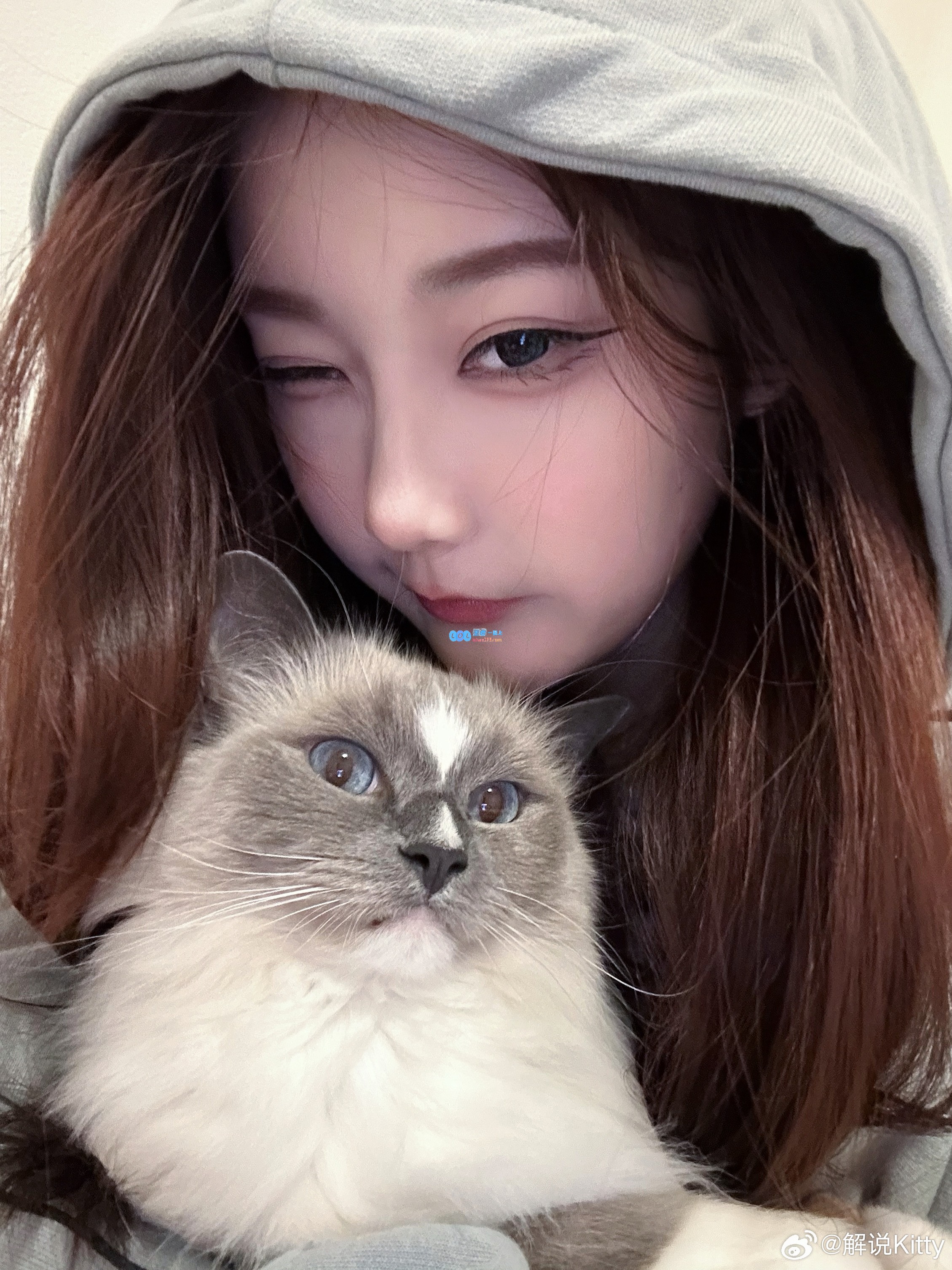 Kitty今天分享照片作品，主题色调为优雅灰色，展现独特魅力