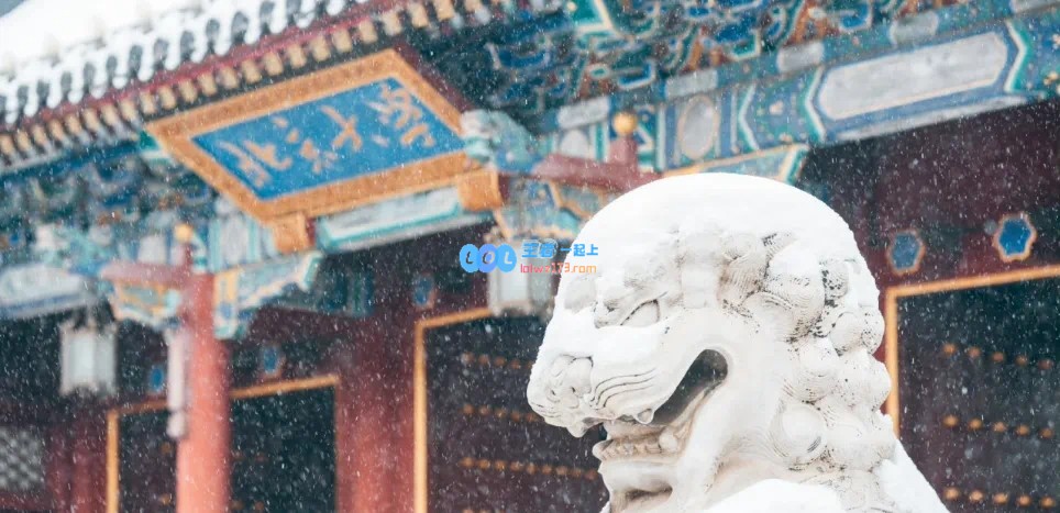 北大启动电竞课程：七天收费7000元，知名老师Bach参与授课