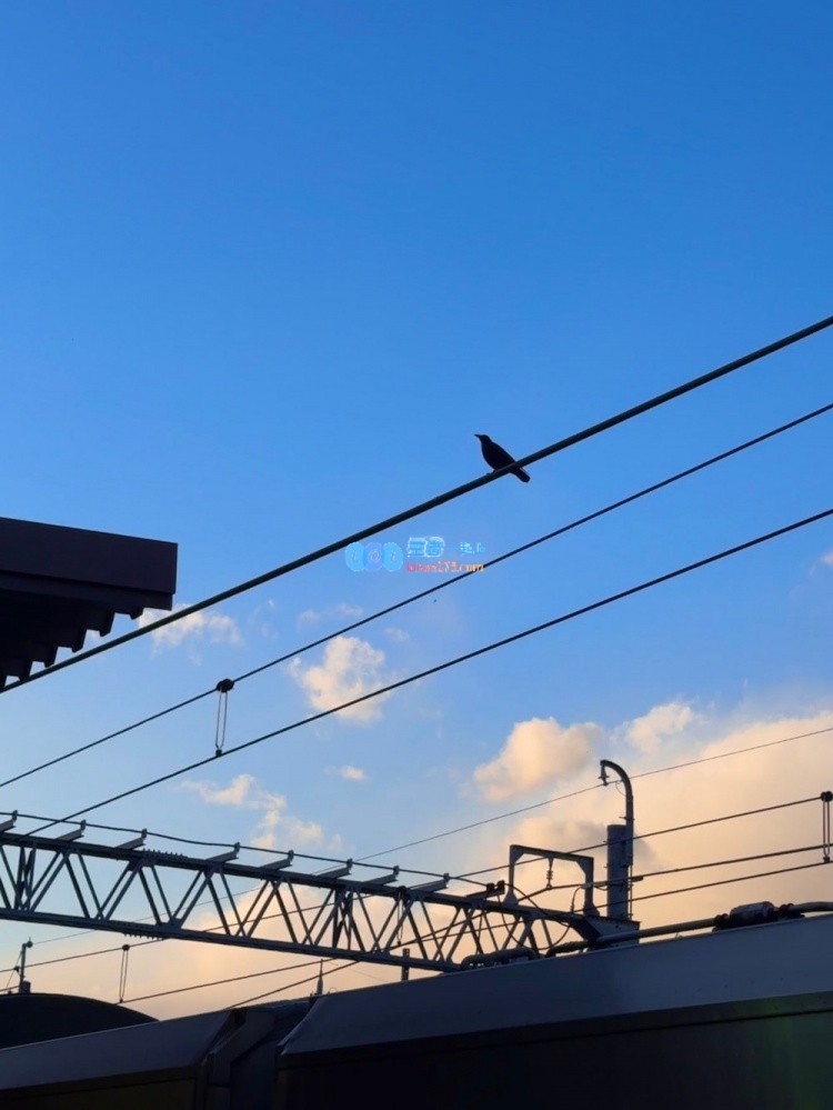 无畏契约主持人麦麦分享个人照片：我的人生如画册般浪漫独特，尽显个性之美