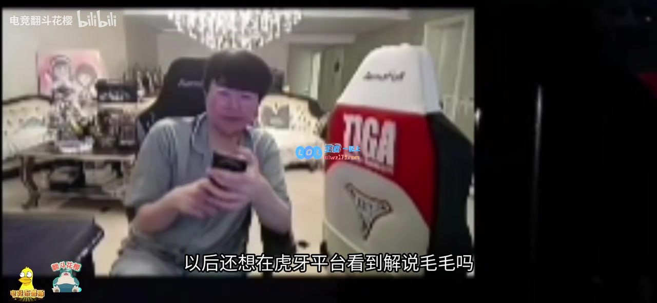 姿态彰显无可争议的统治地位：毛毛迟到是否在耍大牌？或许未来再难见毛毛的身影