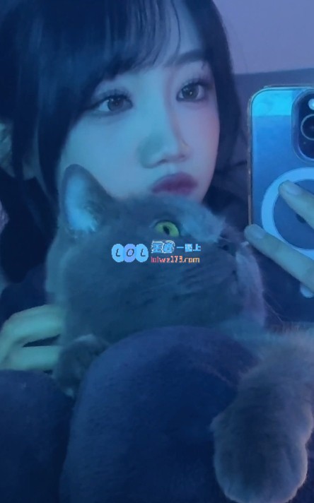 追逐猫咪梦！十月萌照分享：Live实况下的可爱胖胖们~
