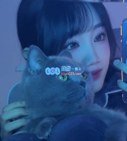 追逐猫咪梦！十月萌照分享：Live实况下的可爱胖胖们~