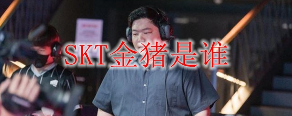 探寻英雄联盟中的传奇战队SKT，重温金猪的辉煌与荣耀，永驻心间