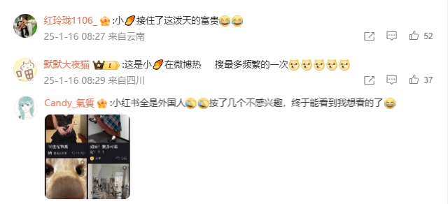 小红书在87国下载榜夺魁引发微博热议网友纷纷表示：这真是大丰收的机会