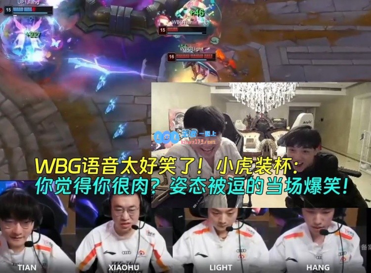 WBG语音惹笑声不断！小虎装作严肃却被同伴调侃：你是不是觉得自己很肉
