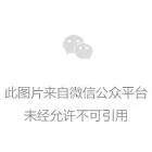 云顶之弈S4赛季的快速上手秘籍，带你轻松掌握新赛季的核心玩法