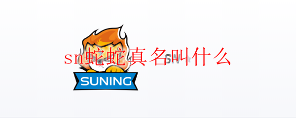 追寻SN蛇蛇真名之谜：揭秘这位电子竞技天才的真实身份与故事