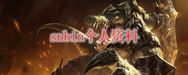 在英雄联盟的浩瀚战场中，掌握snbin的无上技艺与智慧之道