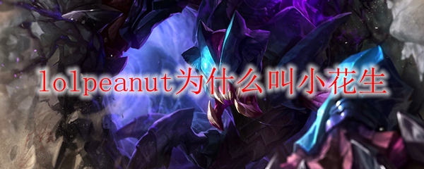为何英雄联盟中的Peanut被称为小花生？潜藏背后的深意与传说！