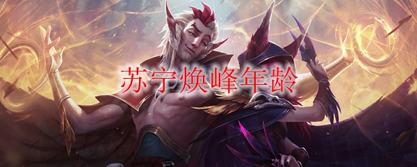 青涩少年与激战前行：苏宁焕峰的成长与启发