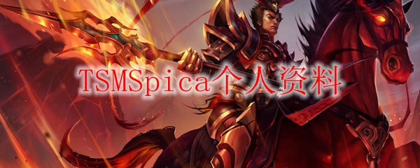 追寻英雄的召唤：探秘TSMSpica的职业生涯与心路历程