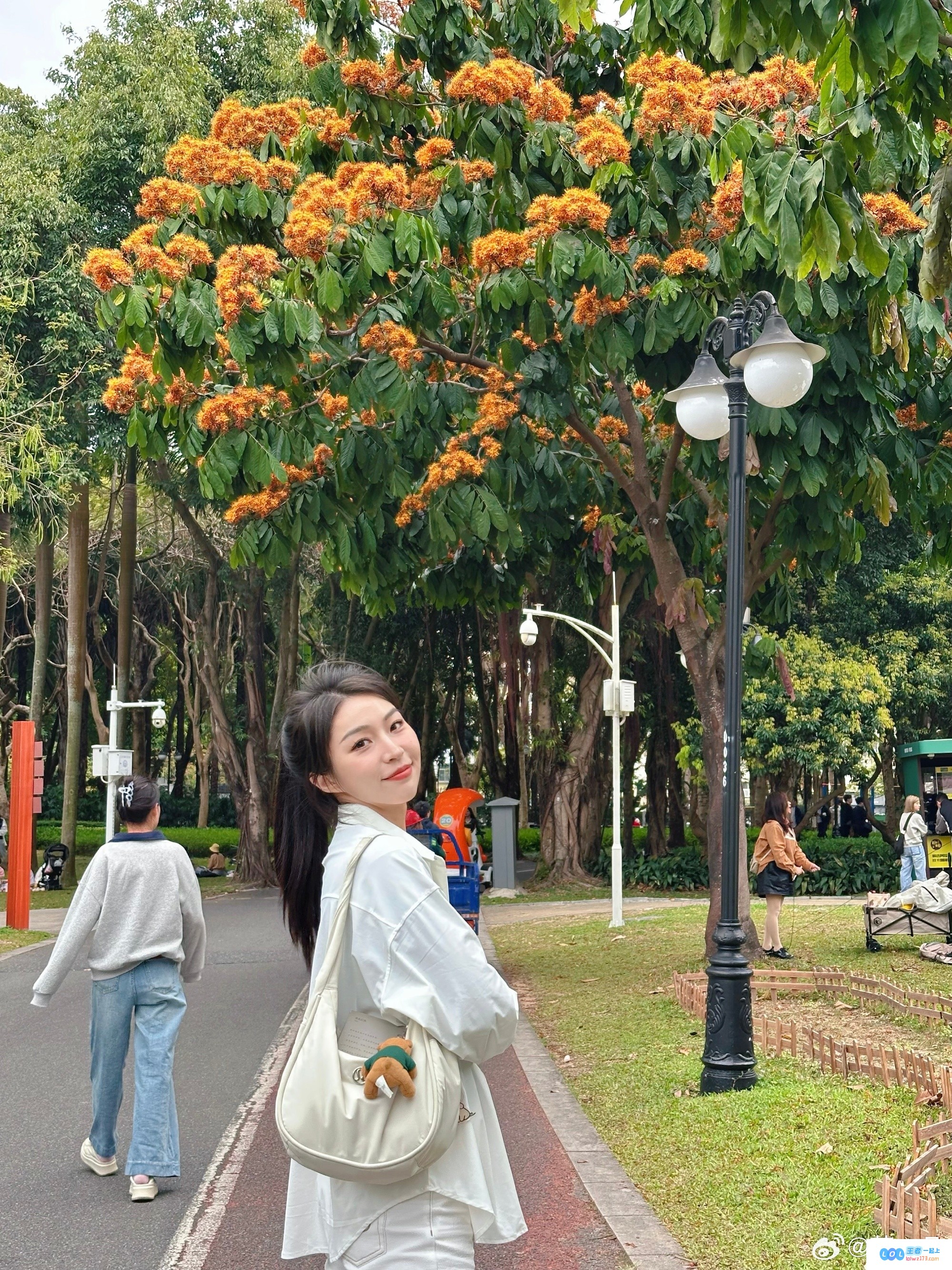 苏一凡慵懒午后分享美照：在阳光明媚的草地上舒适地睡着啦，真是太惬意了！