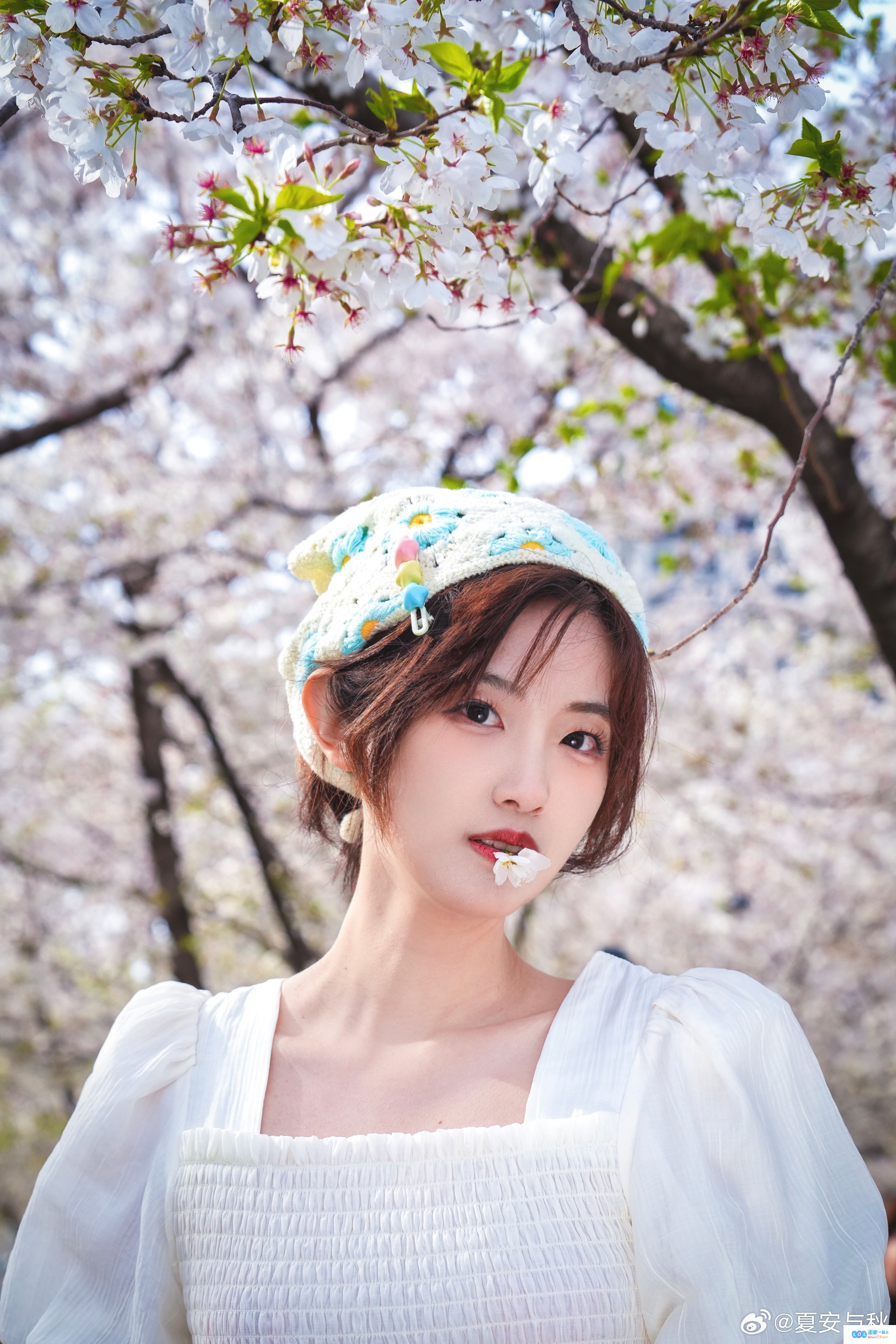 热爱自然的LPL女主持夏安晒出独特照片：狼狈地在田地中拼命寻找洁白花瓣的搞笑瞬间