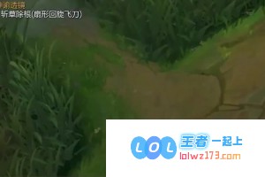 渴望成为狗头吧吧主的自由灵魂洞主的心路历程与思考