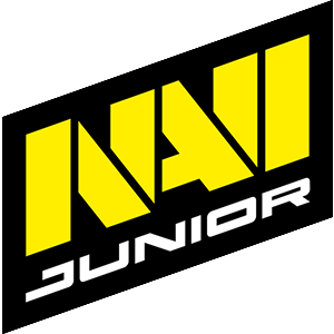 NAVI青训队成功晋级TP世锦赛封闭预选赛