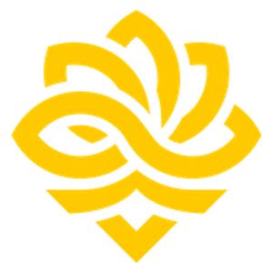全速前进！ropz切换车手形态，分享赛道时刻