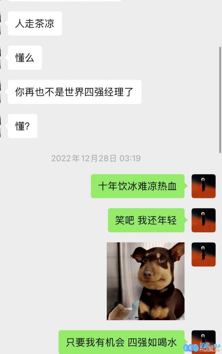 AL经理赛后喜讯满满：3_1战胜WB！向死亡而奋起，重回四强荣耀之路！