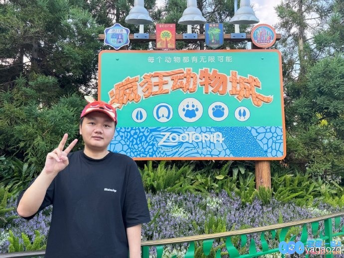 Yagao分享游乐园照：来玩新项目了附上一段灯光秀，快来领略新奇的欢乐时光!