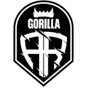 PARIVISION宣布签下GUN5选手xiELO，TRAVIS被移至替补席