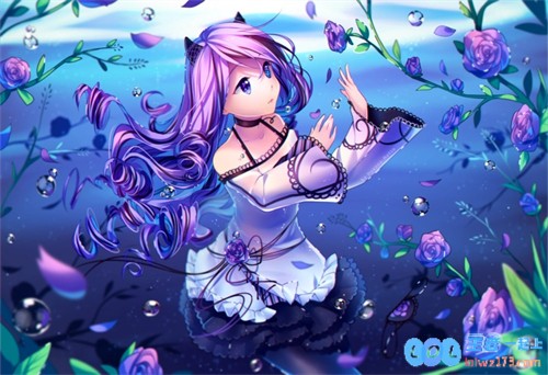 肉蔻之香2意大利版：感受扑鼻而来的美味魅力，体验舌尖上的意式风情