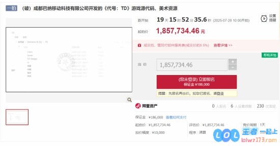 40%进度游戏代码185万起拍：原公司前期投入超千万，打造梦想世界的背后故事